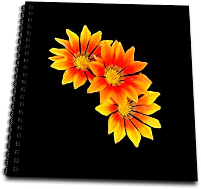 3dRose Három Világos Színű Gazania Virágok Vektor Art Ki... - Rajz Könyvek (db-370941-2)